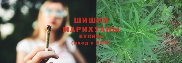 спиды Магас