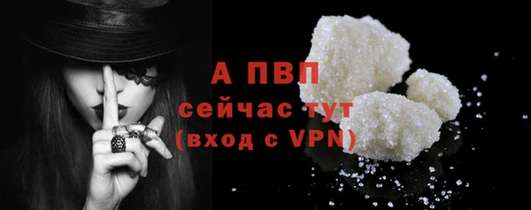 спиды Магас