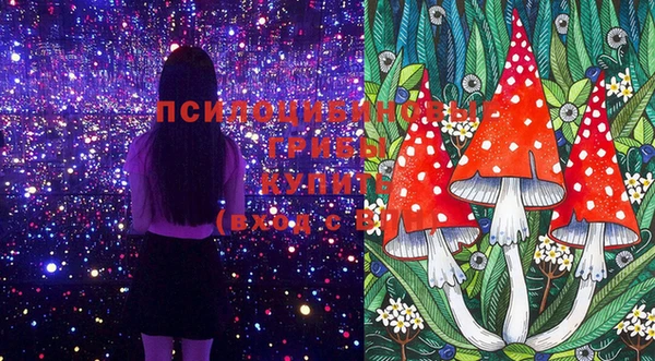 спиды Магас